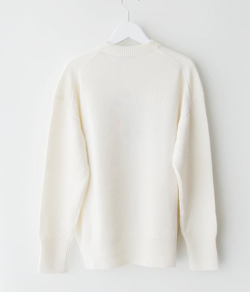 PHEENY/WOOL CASHMERE JAQUARD PO KNIT (AMERICA)