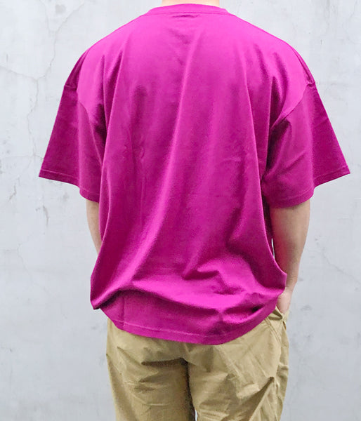 DESCENDANT/CACHALOT STRIP SS (PINK)